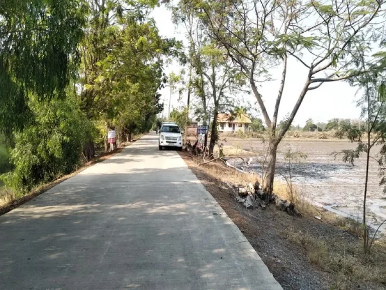 ขาย ที่ดิน สามโคก-เสนา ถนนปทุมธานี-สามโคก อสามโคก จปทุมธานี