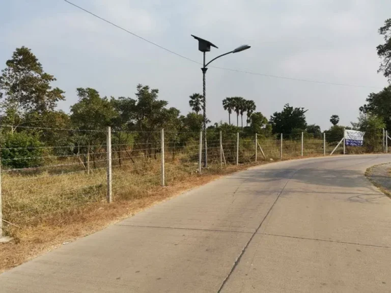 ขาย ที่ดิน เทศบาลปทุมธานี ซอย 1 ถนนปทุมธานี-นนทบุรี อเมืองปทุมธานี จปทุมธานี