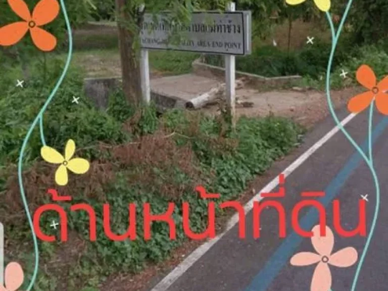 ขายที่ดินน้ำแพร่ ห่างถนนซอย 50 เมตร หางดงเชียงใหม่