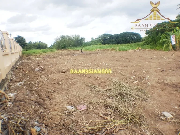 ที่ดิน 200ตรว เลียบคลองบางไผ่