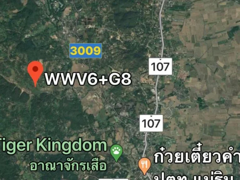 ขายที่ดินแม่ริมเชียงใหม่ แหล่งท่องเที่ยว เนื้อที่ 109 ไร่ สามารถแบ่งขาย 50 ไร่ได้