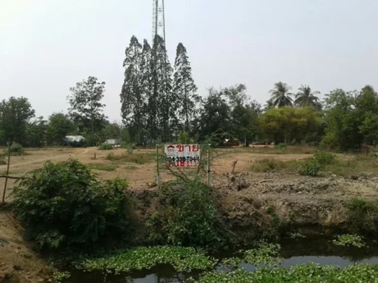 ขายที่ดิน 3 ไร่ 753 ตรว ถนนเพชรเกษม อำเภอเขาย้อย จังหวัดเพชรบุรี