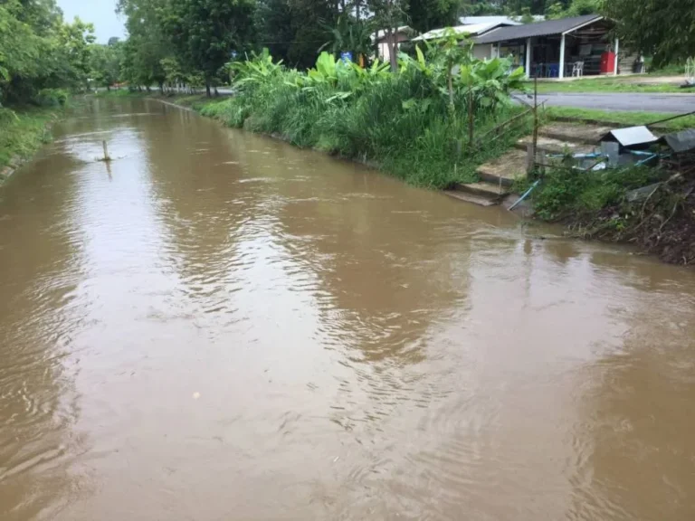 ขายที่ดินติดถนนสองด้าน ค้าขายได้ ขี้เหล็กแม่ริมเชียงใหม่