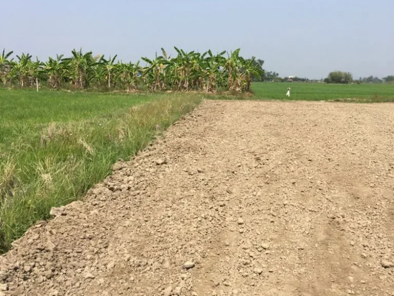 ขายที่ดินวิวดอย สันโป่งแม่ริม มีบ่อน้ำ ถมดินเรียบร้อย