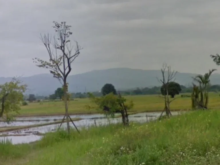 ขายที่ดินวิวดอย สันโป่งแม่ริม มีบ่อน้ำ ถมดินเรียบร้อย