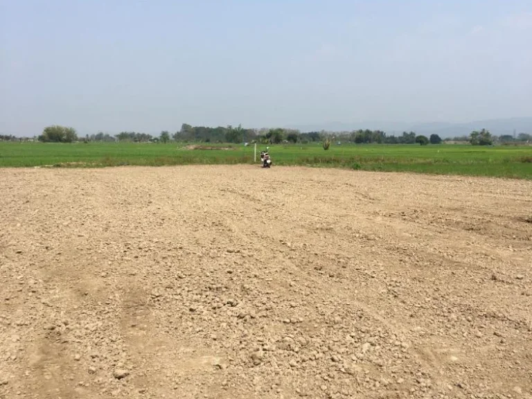 ขายที่ดินวิวดอย สันโป่งแม่ริม มีบ่อน้ำ ถมดินเรียบร้อย