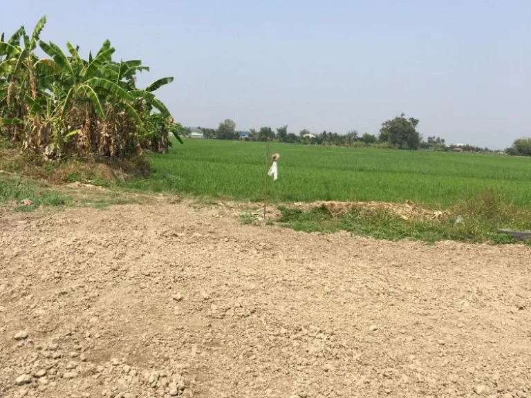 ขายที่ดินวิวดอย สันโป่งแม่ริม มีบ่อน้ำ ถมดินเรียบร้อย