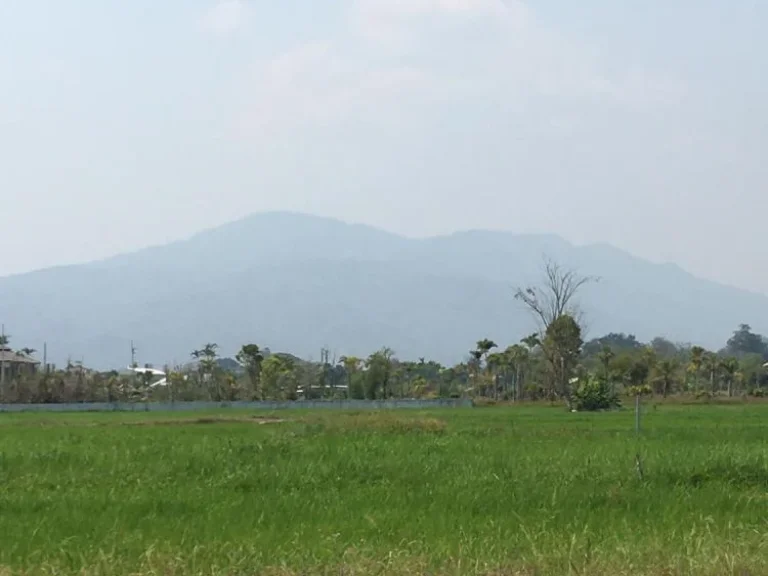 ขายที่ดินวิวดอย สันโป่งแม่ริม มีบ่อน้ำ ถมดินเรียบร้อย