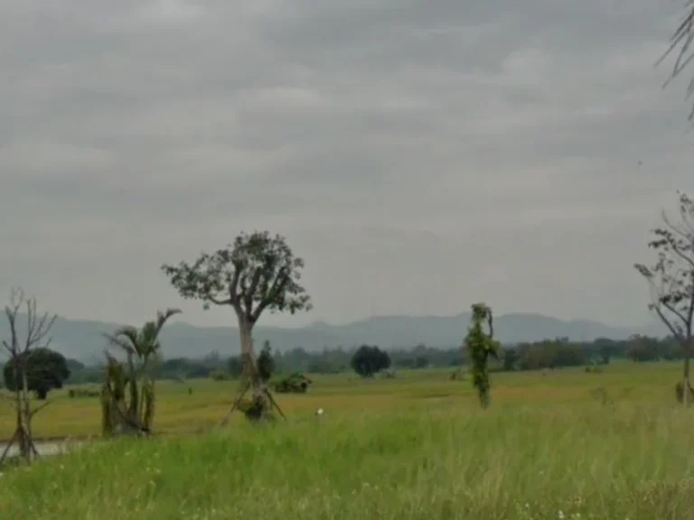 ขายที่ดินวิวดอย สันโป่งแม่ริม มีบ่อน้ำ ถมดินเรียบร้อย