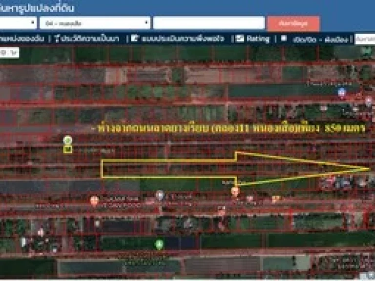 ขายที่ดิน หนองเสือ คลอง11ขนาด 100 ตรว มีไฟฟ้า ประปา ถนนคอนกรีต เหมาะปลูกบ้านหรือซื้อเก็บไว้