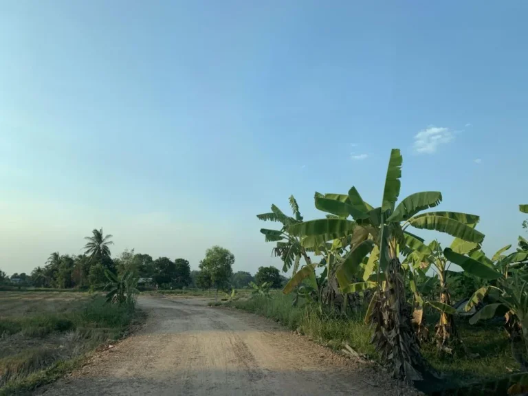 ขายที่ดิน 3 ไร่ ติดถนน มีคลองพร้อมทำเกษตรด้านหน้าที่ดิน ตท่าช้าง อเมือง จนครนายก