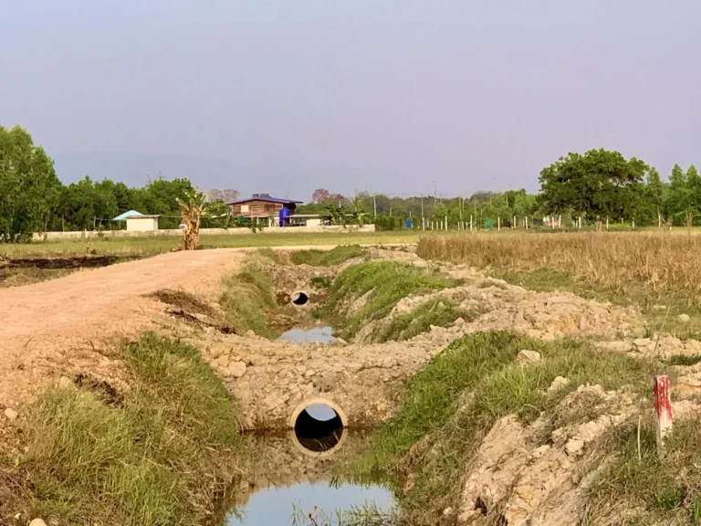 ขายที่ดิน 3 ไร่ ติดถนน มีคลองพร้อมทำเกษตรด้านหน้าที่ดิน ตท่าช้าง อเมือง จนครนายก