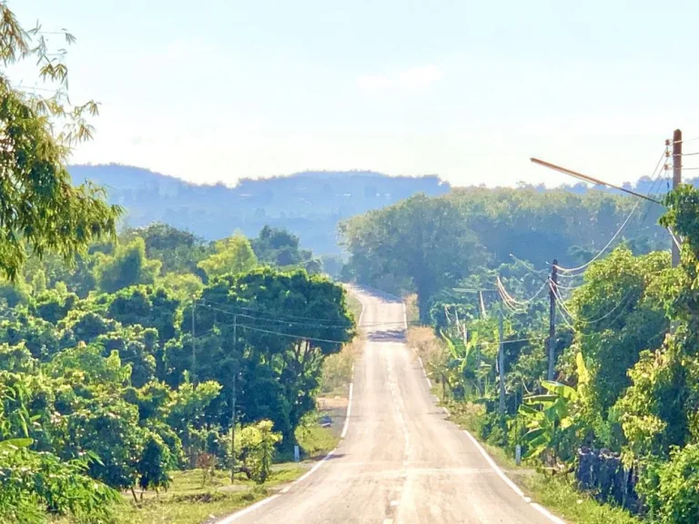 สวนไม้สักทอง ที่ดินบนเนิน วิวภูเขา โฉนดสวย