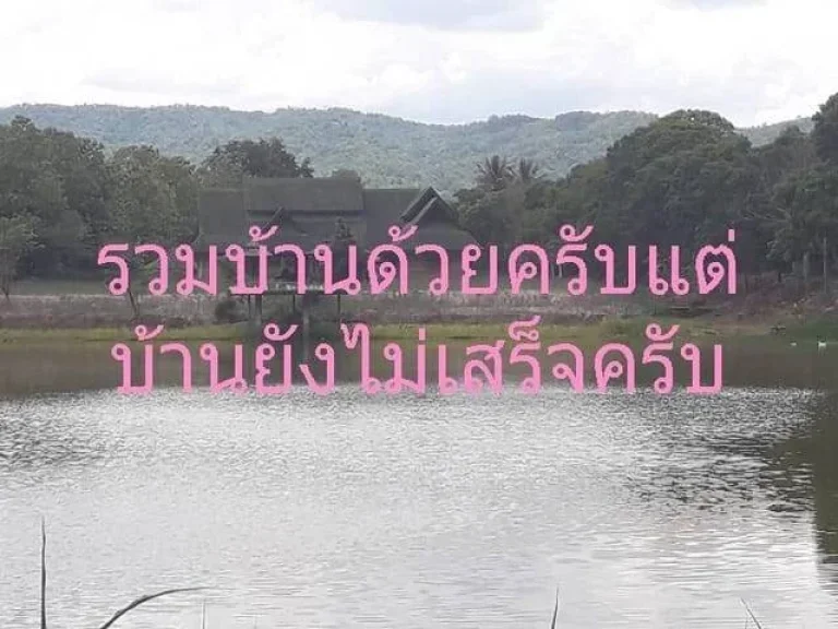 ที่ดิน อเวียงป่าเป้า บ้านสันติสุข หมู่ 1 จังหวัดเชียงราย 27ไร่