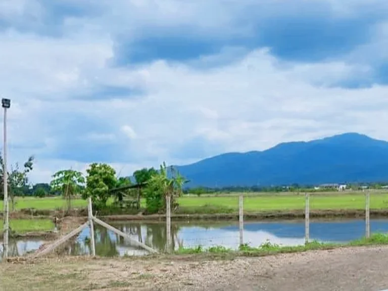 ขายที่ดินวิวดอย ลำเหมือง สันโป่ง แม่ริม เชียงใหม่