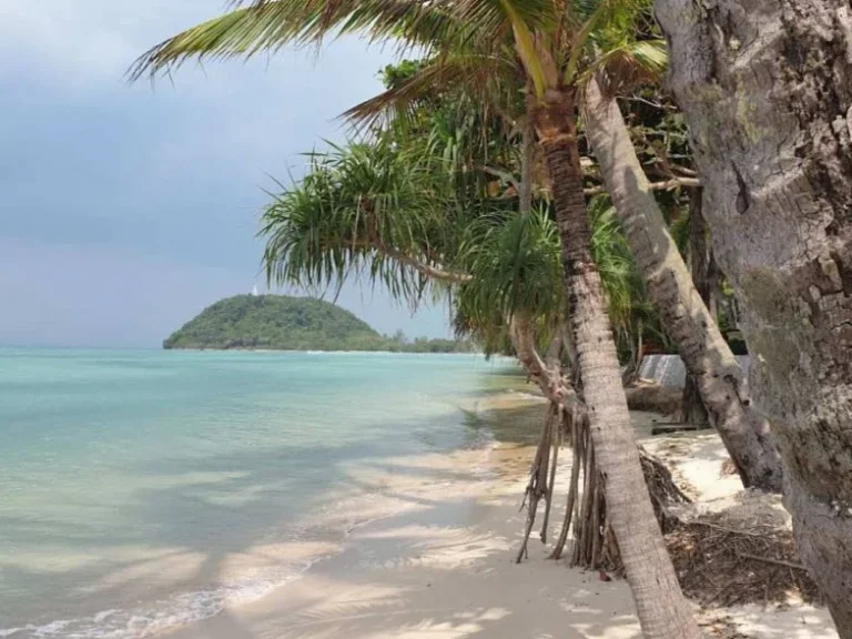 ขายที่ดินติดทะเลติดหาดเกาะสมุย