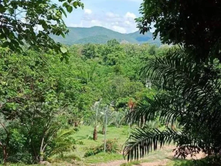 ขายที่ดินวิวดอย ลวงเหนือ ดอยสะเก็ตเชียงใหม่