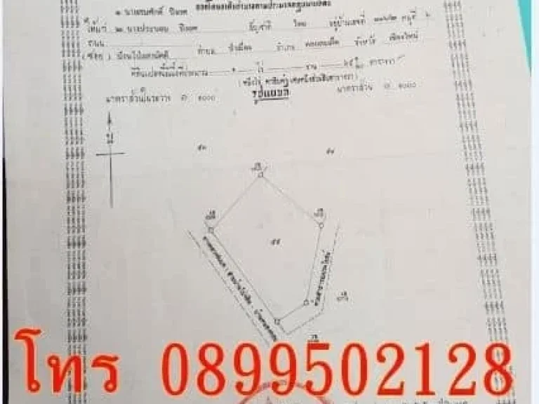 ขายที่ดินเชียงใหม่ ทำเลทอง ที่ดิน 1-0-65 ตารางวา