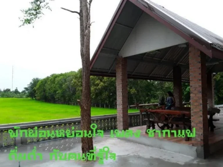 ขาย บ้านสวย บ้านดี 2 ชั้น บนเนื้อที่ 2 ไร่ 95 ตรว 5 ห้องนอน ในเขตเทศบาลพุทไธสง บุรีรัมย์