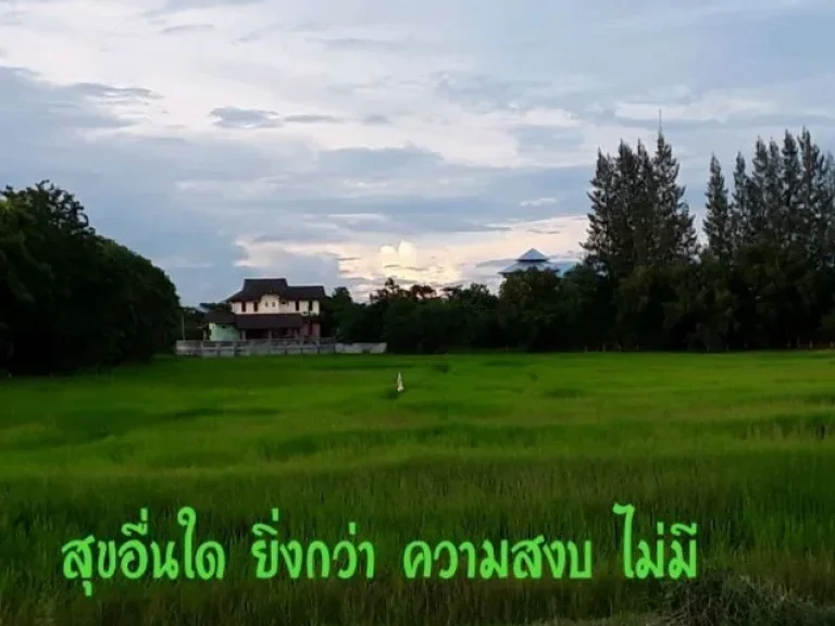 ขาย บ้านสวย บ้านดี 2 ชั้น บนเนื้อที่ 2 ไร่ 95 ตรว 5 ห้องนอน ในเขตเทศบาลพุทไธสง บุรีรัมย์