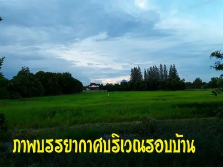 ขาย บ้านสวย บ้านดี 2 ชั้น บนเนื้อที่ 2 ไร่ 95 ตรว 5 ห้องนอน ในเขตเทศบาลพุทไธสง บุรีรัมย์