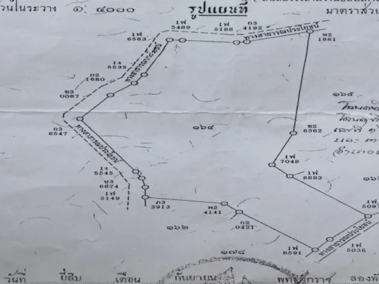 ขายที่ดิน สันป่ายาง 12-3-29 ไร่ โฉนด ที่เนิน ที่นา ที่สวน วิวภูเขา มีสระน้ำขนาด 1ไร่ 1สระ