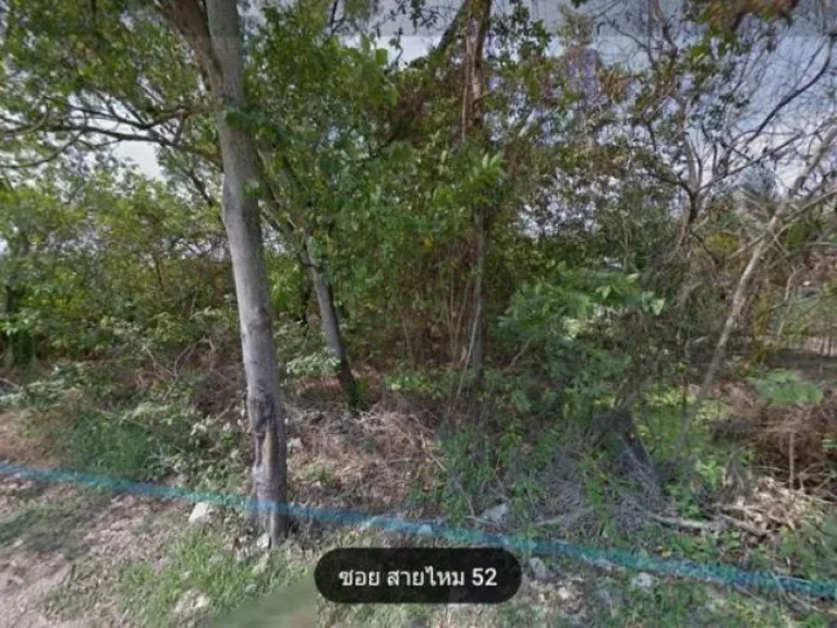 Land For Sale ที่ดิน 403 ตารางวา สายไหม52