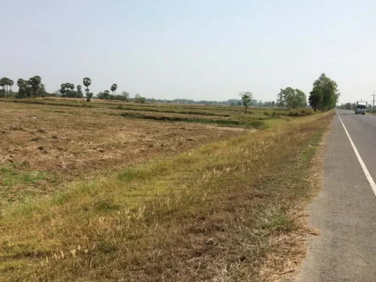 ขาย ที่ดิน ถนนยางชุมน้อย-ศรีสะเกษ อยางชุมน้อย จศรีสะเกษ