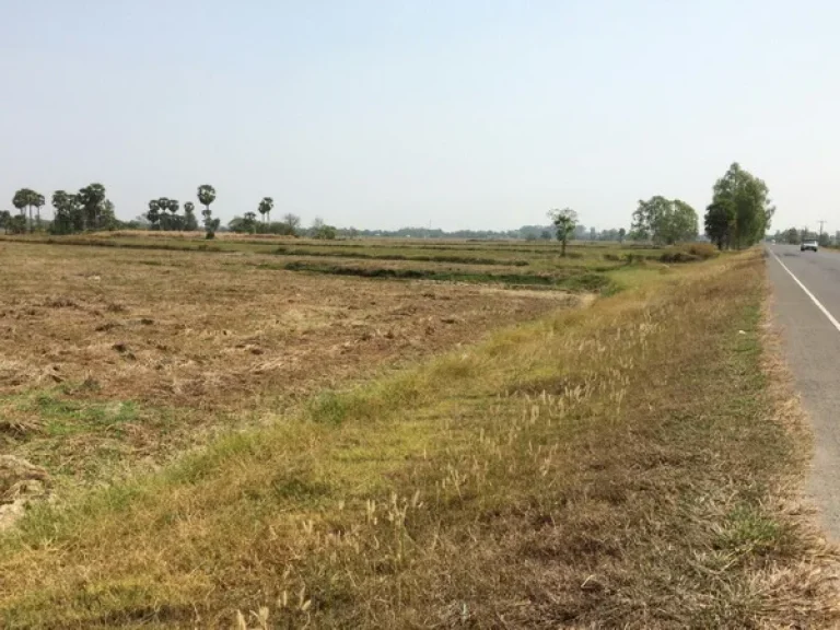 ขาย ที่ดิน ถนนยางชุมน้อย-ศรีสะเกษ อยางชุมน้อย จศรีสะเกษ