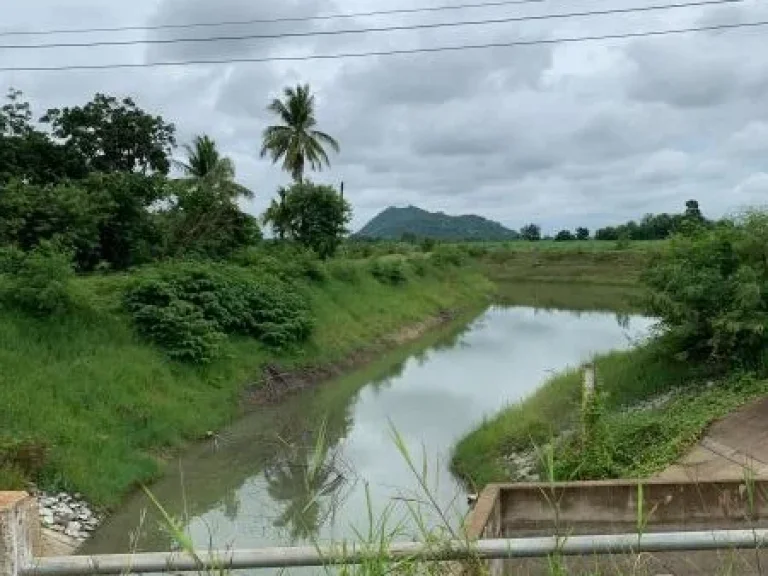 ขายที่ดิน พื้นที่ 47-2-73ไร่ ติดอ่างน้ำ ข้างหลังไร่ติดคลองตลอดไร่ บ้านหมี่ ลพบุรี