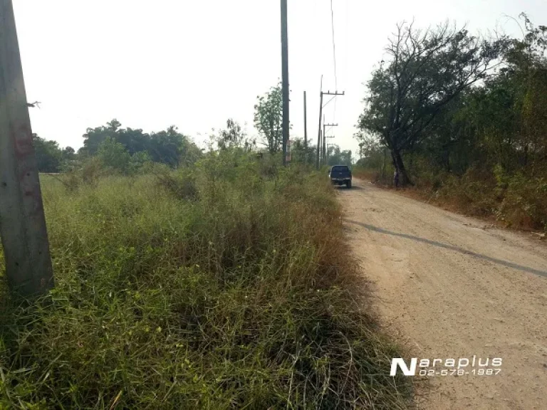 ขายที่ดิน ขนาด 200 ตรว 2 แปลงติดกัน ซคลองหกตะวันออก 82 คลองหลวง