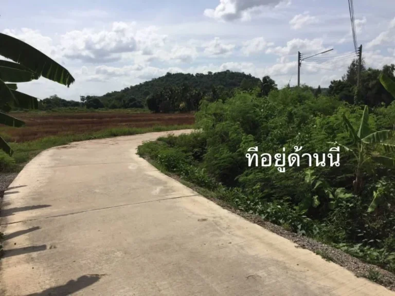 ขายที่ 24ไร่ 80ตรว ตเขาขลุง อบ้านโป่ง จราชบุรี ที่อยู่เส้นบ่อเจ๊ก-สระสี่มุม