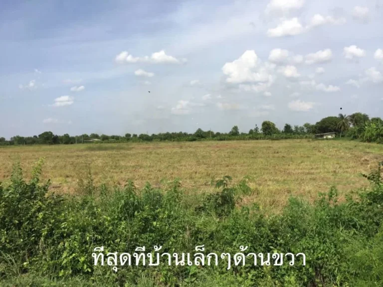 ขายที่ 24ไร่ 80ตรว ตเขาขลุง อบ้านโป่ง จราชบุรี ที่อยู่เส้นบ่อเจ๊ก-สระสี่มุม