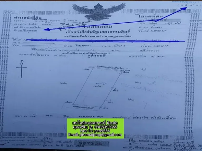 ขายที่ดิน 19 ไร่ 3 ตารางวา ตำบลพิกุลออก นครนายก ไม่แบ่งขาย ประปาเข้าถึง