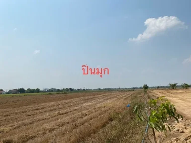 ขายที่ดิน อำเภอวังน้อย จพระนครศรีอยุธยา 5 ไร่ 55 ตรว