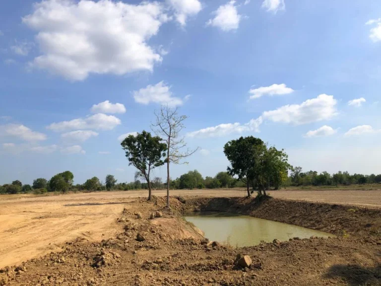 ที่ดินแบ่งขาย บนทำเลทอง จัดแปลงสวย สุพรรณบุรี