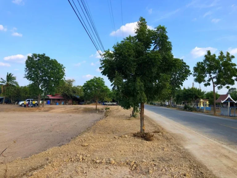 ที่ดินแบ่งขาย บนทำเลทอง จัดแปลงสวย สุพรรณบุรี