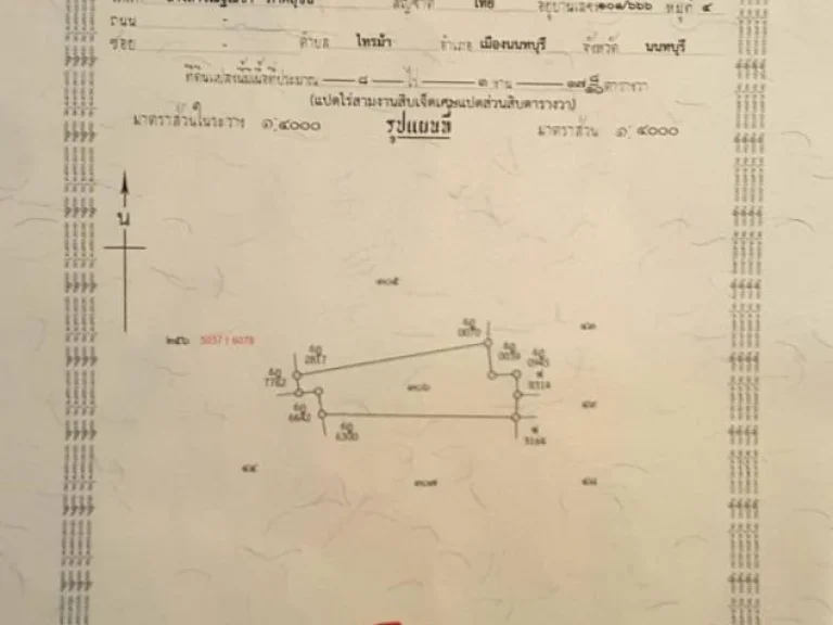 ขายที่ดิน3แปลง ใกล้คลองขุดใหม่ อยุธยา