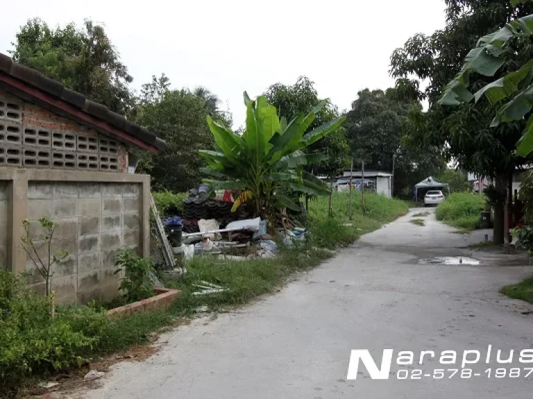 ขายที่ดิน ขนาด 108 ตรว ซร่มโพธิ์ทอง 1 บางบัวทอง นนทบุรี