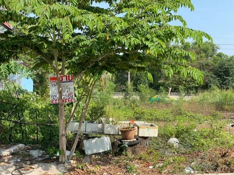 ขายที่ดิน อำเภอลำลูกกา จังหวัดปทุมธานี ขนาดเนื้อที่ 100ตรว