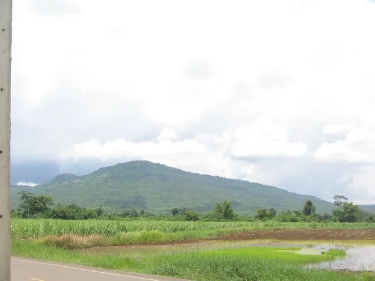 ขายที่ดิน 19 ไร่ ห่างจาก ถมิตรภาพบายพาส ประมาณ 20 กม ติดถนนลาดยาง ไฟฟ้าพร้อม เห็นวิวแนวเขายายเที่ยงลูกใหญ่ อากาศดี ที่ดินเป็นเนิน บ้านซับเศรษฐี ตวังไทร อปากช่อง ที่โฉนด ราคาไร่ละ 350000 บ