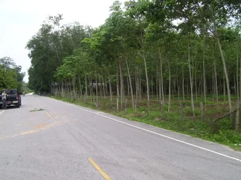 ขายฝากที่ดิน 2 งาน 70 ตรว ติดถนนดำห่างถนนสายสนามบิน 25 km หาดใหญ่ สงขลา