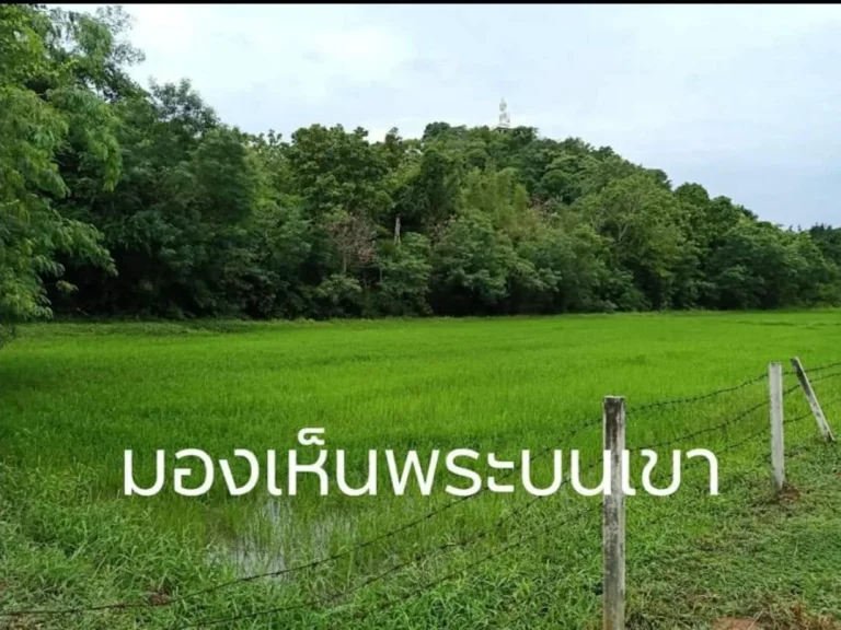 ขายที่นาติดลำธารติดเขาพระ4ไร่94ตรวไร่ละ3แสน2ติดถนนน้ำไฟพร้อมตเตาปูนอโพธารามจราชบุรี