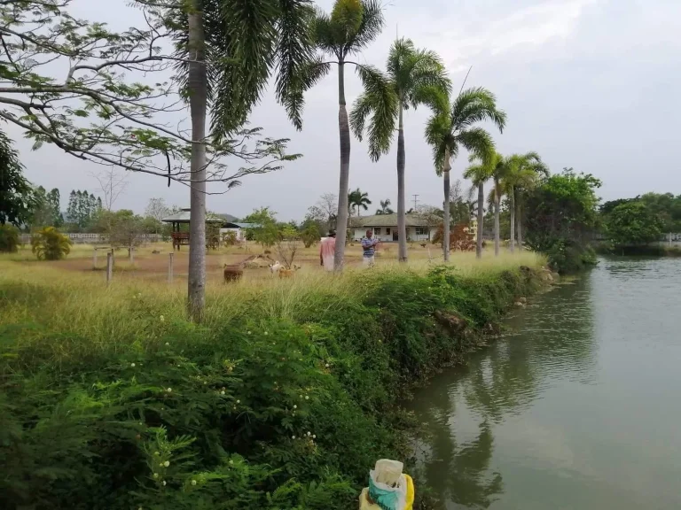 ขายบ้านพร้อมที่ดิน12ไร่มีสระน้ำที่สวนที่นาตธรรมเสนอโพธารามจราชบุรี