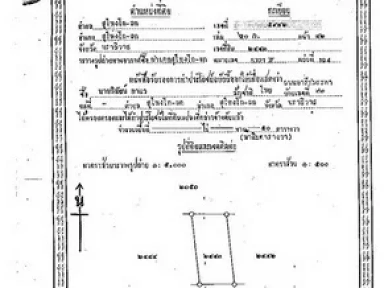 ขายที่ดินอสุไหงโก-ลก จนราธิวาส