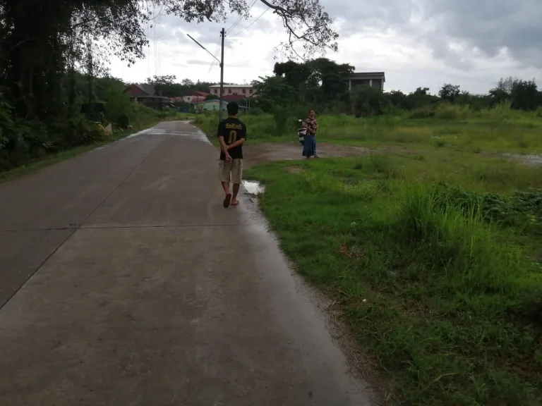 Best Price ขายที่ดิน 5 ไร่ ติดถนนคอนกรีต เขตชุมชน ถมแล้ว น้ำไม่ท่วม ทำเลดี 5 rai of land for sale on a concrete road