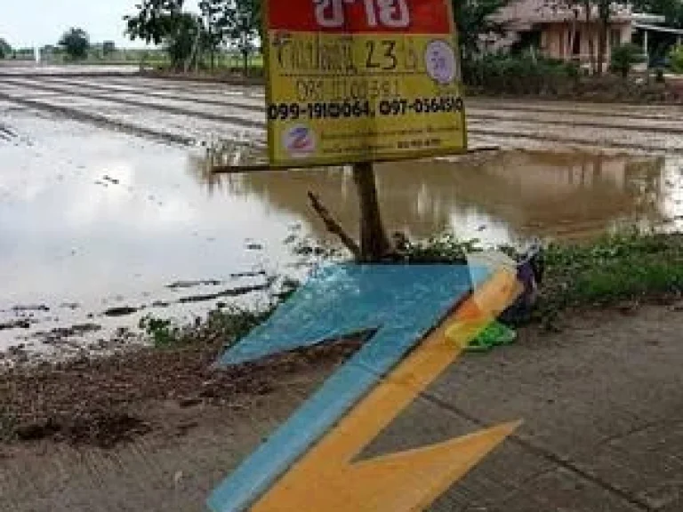 ขายด่วน ที่ดิน23ไร่ ตสามบัณฑิต พระนครศรีอยุธยา