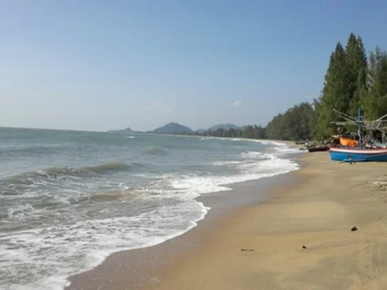 ขายด่วนที่ดินติดชายหาดแหลมกุ่ม อทับสะแก LAEM KUM BEACH LAND FOR SALE YOUR OWN PRIVATE BEACH ABOUT 29 RAI OF LAND LOCATED IN TAMBON THAP SAKAE