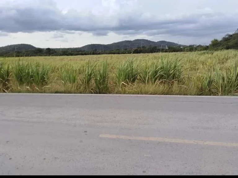 ขายที่ดินหน้าติดถนนลาดยางหลังวิวภูเขา