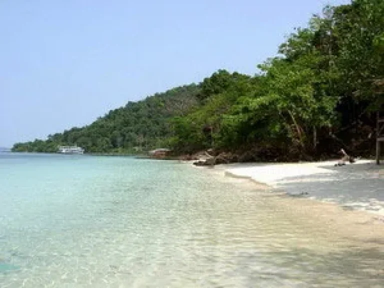 ขายที่ดินติดชายทะเล หาดส่วนตัว ย่านโรงแรมโนโวเทล ระยอง หาดสวย ระดับ 5 ดาว